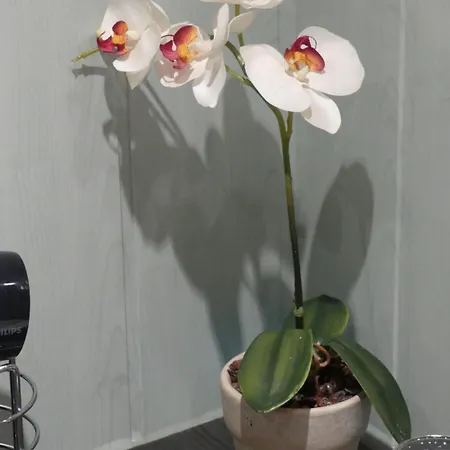 D'hotes Les Gragniotes 3* Tournissan